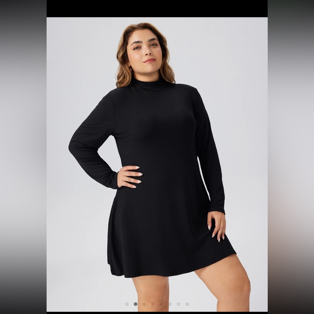 Cider NWT Turtleneck Swing Dress